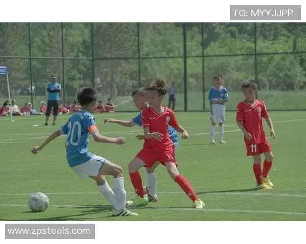 中国足球等级体系的现状分析与未来发展展望